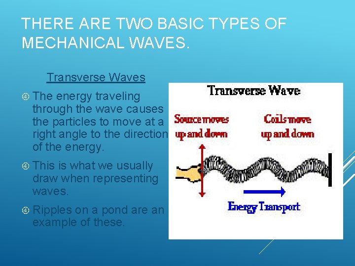 THERE ARE TWO BASIC TYPES OF MECHANICAL WAVES. Transverse Waves The energy traveling through THERE ARE TWO BASIC TYPES OF MECHANICAL WAVES. Transverse Waves The energy traveling through