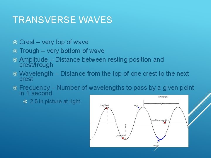 TRANSVERSE WAVES Crest – very top of wave Trough – very bottom of wave TRANSVERSE WAVES Crest – very top of wave Trough – very bottom of wave