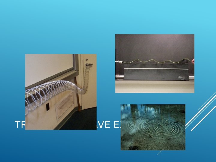 TRANSVERSE WAVE EXAMPLES TRANSVERSE WAVE EXAMPLES