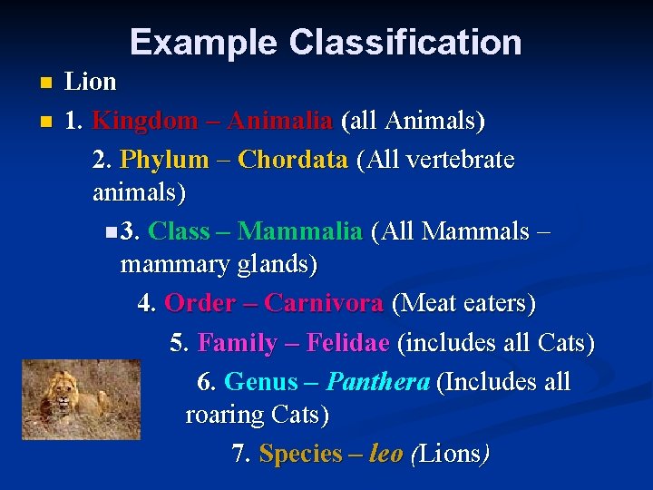 Example Classification n n Lion 1. Kingdom – Animalia (all Animals) 2. Phylum – Example Classification n n Lion 1. Kingdom – Animalia (all Animals) 2. Phylum –