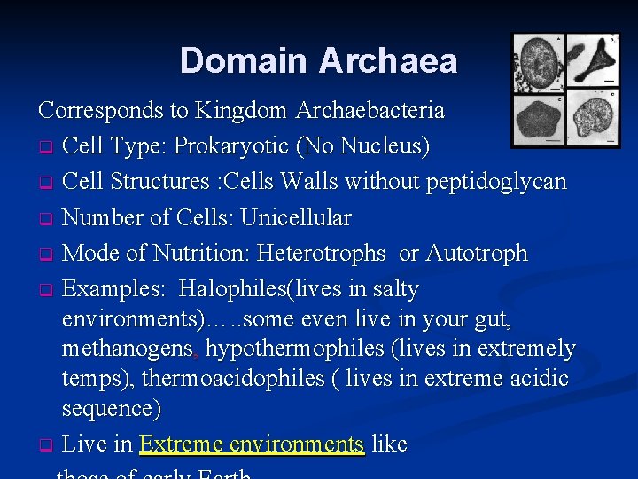Domain Archaea Corresponds to Kingdom Archaebacteria q Cell Type: Prokaryotic (No Nucleus) q Cell Domain Archaea Corresponds to Kingdom Archaebacteria q Cell Type: Prokaryotic (No Nucleus) q Cell