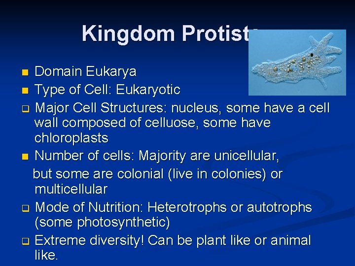 Kingdom Protista Domain Eukarya n Type of Cell: Eukaryotic q Major Cell Structures: nucleus, Kingdom Protista Domain Eukarya n Type of Cell: Eukaryotic q Major Cell Structures: nucleus,
