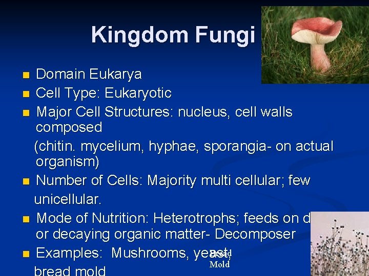 Kingdom Fungi Domain Eukarya n Cell Type: Eukaryotic n Major Cell Structures: nucleus, cell Kingdom Fungi Domain Eukarya n Cell Type: Eukaryotic n Major Cell Structures: nucleus, cell