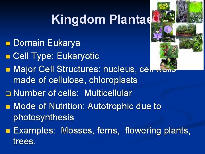Kingdom Plantae Domain Eukarya n Cell Type: Eukaryotic n Major Cell Structures: nucleus, cell Kingdom Plantae Domain Eukarya n Cell Type: Eukaryotic n Major Cell Structures: nucleus, cell