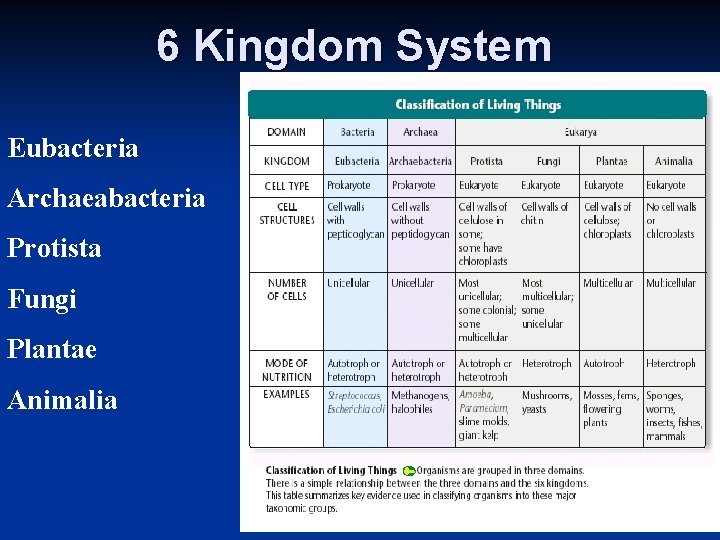 6 Kingdom System Eubacteria Archaeabacteria Protista Fungi Plantae Animalia 6 Kingdom System Eubacteria Archaeabacteria Protista Fungi Plantae Animalia