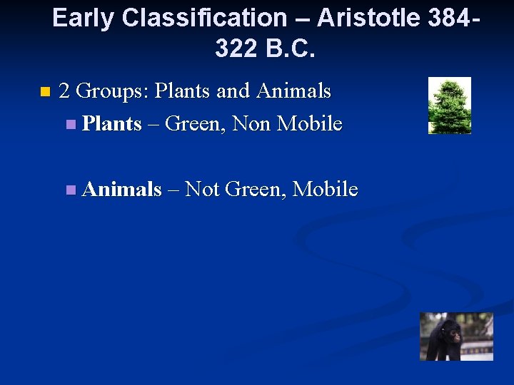 Early Classification – Aristotle 384322 B. C. n 2 Groups: Plants and Animals n Early Classification – Aristotle 384322 B. C. n 2 Groups: Plants and Animals n