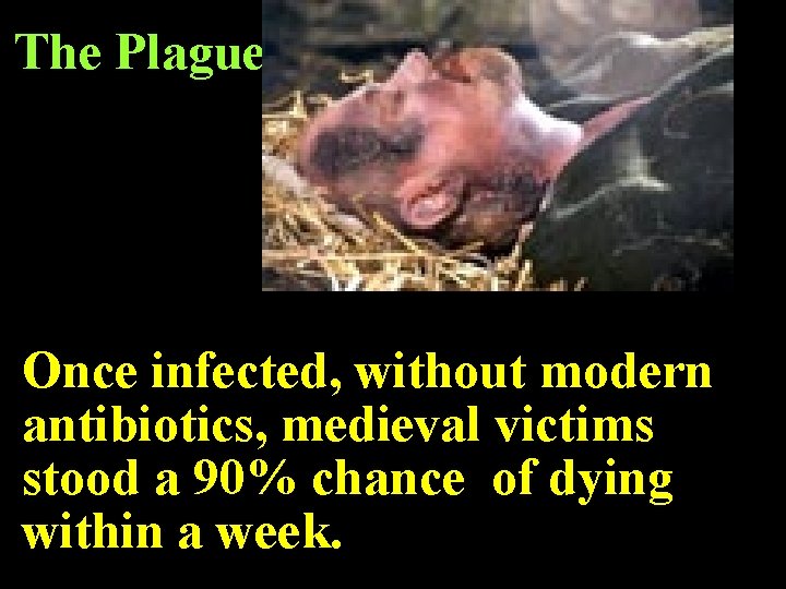 The Plague Once infected, without modern antibiotics, medieval victims stood a 90% chance of