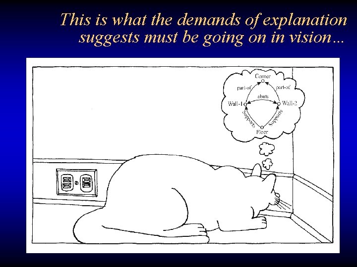 This is what the demands of explanation suggests must be going on in vision…