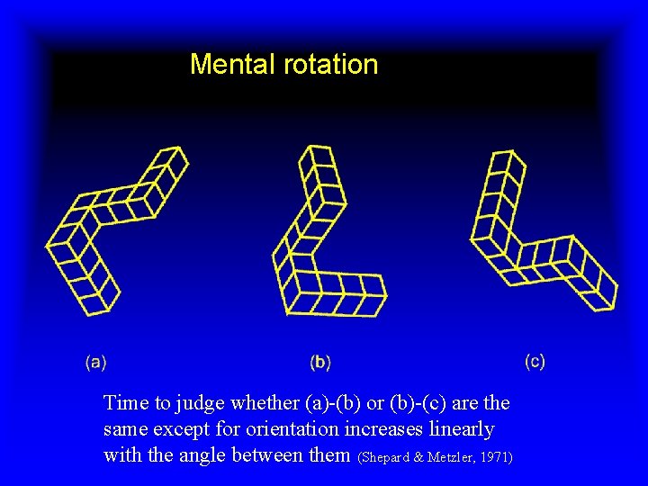 Mental rotation Time to judge whether (a)-(b) or (b)-(c) are the same except for