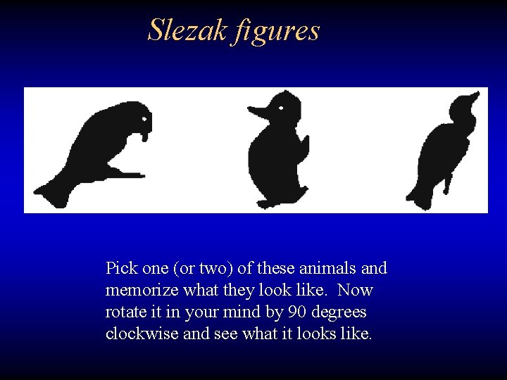 Slezak figures Pick one (or two) of these animals and memorize what they look