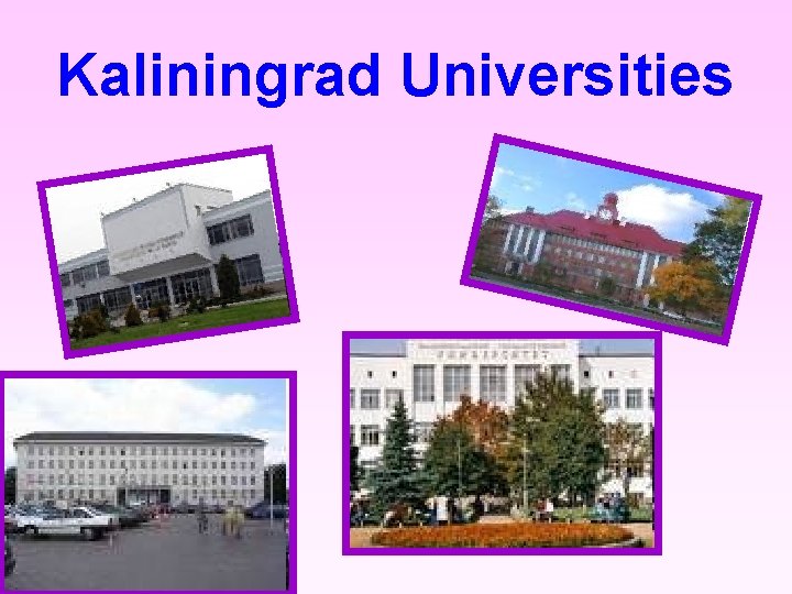 Kaliningrad Universities 