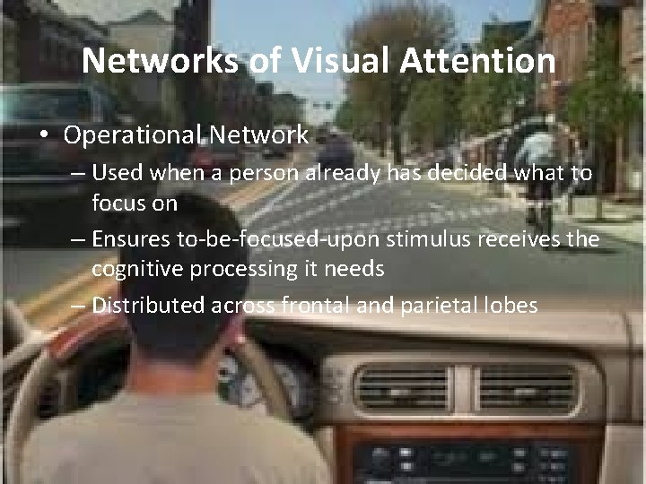 Networks of Visual Attention • Operational Network – Used when a person already has