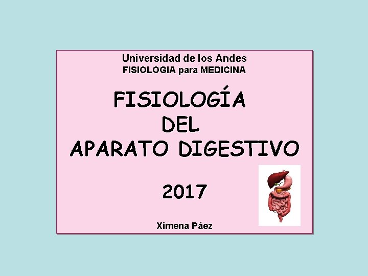 Universidad de los Andes FISIOLOGIA para MEDICINA FISIOLOGÍA DEL APARATO DIGESTIVO 2017 Ximena Páez