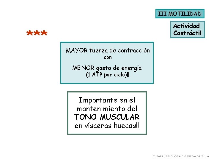 III MOTILIDAD Actividad Contráctil * ** MAYOR fuerza de contracción con MENOR gasto de