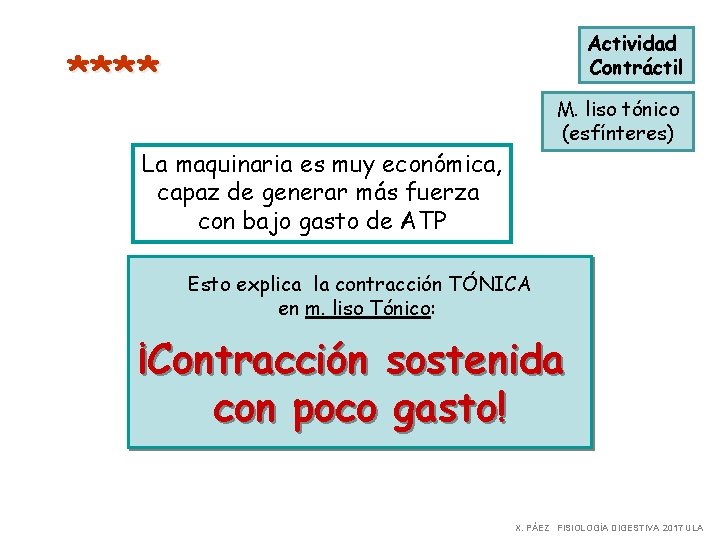 Actividad Contráctil **** M. liso tónico (esfínteres) La maquinaria es muy económica, capaz de