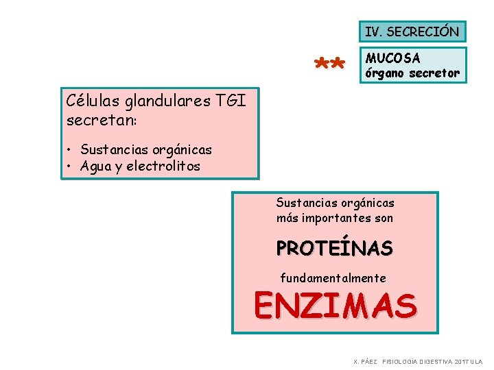 IV. SECRECIÓN Células glandulares TGI secretan: ** MUCOSA órgano secretor • Sustancias orgánicas •