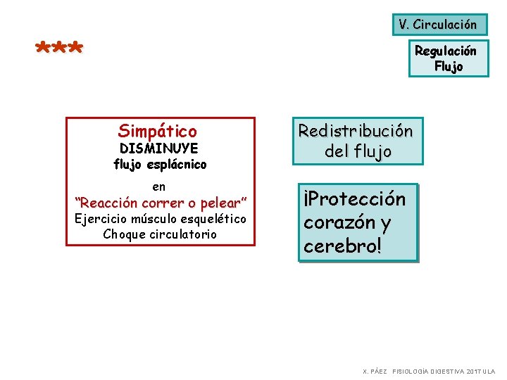 V. Circulación *** Regulación Flujo Simpático DISMINUYE flujo esplácnico en “Reacción correr o pelear”