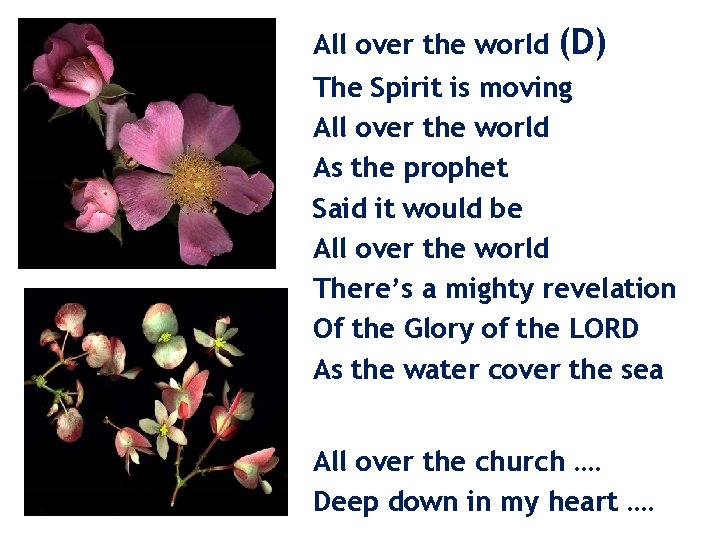 All over the world (D) The Spirit is moving All over the world As