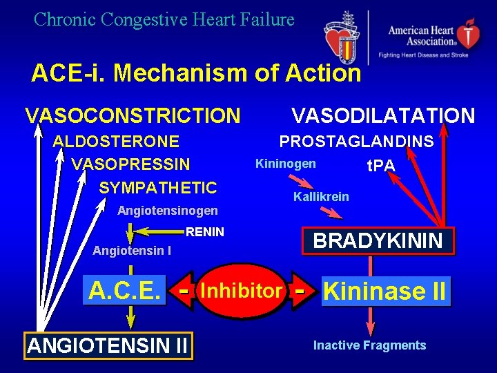 Chronic Congestive Heart Failure ACE-i. Mechanism of Action VASOCONSTRICTION ALDOSTERONE VASOPRESSIN SYMPATHETIC VASODILATATION PROSTAGLANDINS