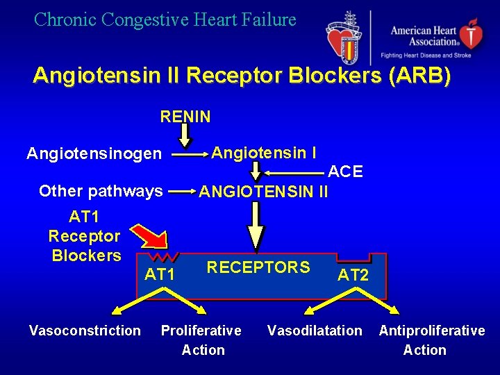 Chronic Congestive Heart Failure Angiotensin II Receptor Blockers (ARB) RENIN Angiotensinogen Other pathways AT