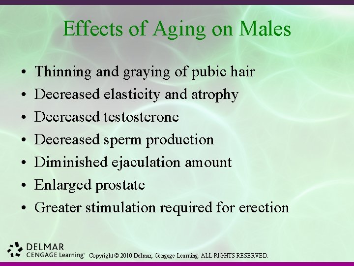 Effects of Aging on Males • • Thinning and graying of pubic hair Decreased