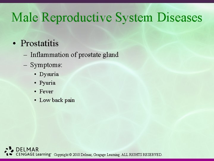 Male Reproductive System Diseases • Prostatitis – Inflammation of prostate gland – Symptoms: •