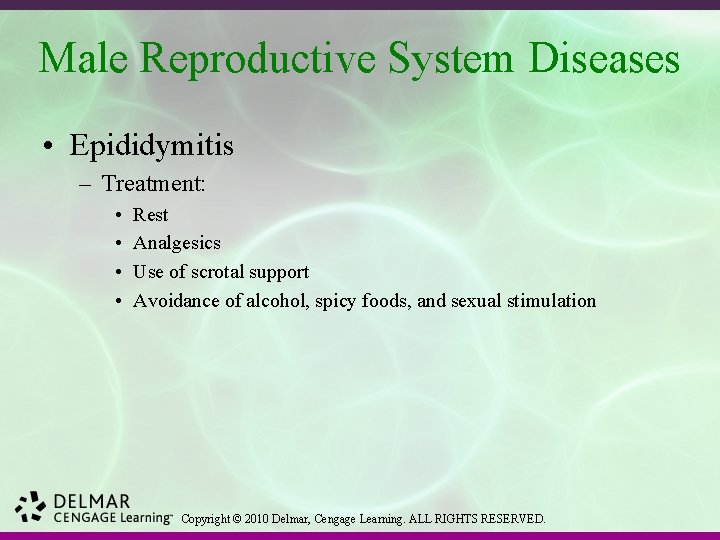 Male Reproductive System Diseases • Epididymitis – Treatment: • • Rest Analgesics Use of