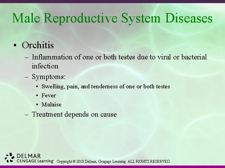 Male Reproductive System Diseases • Orchitis – Inflammation of one or both testes due