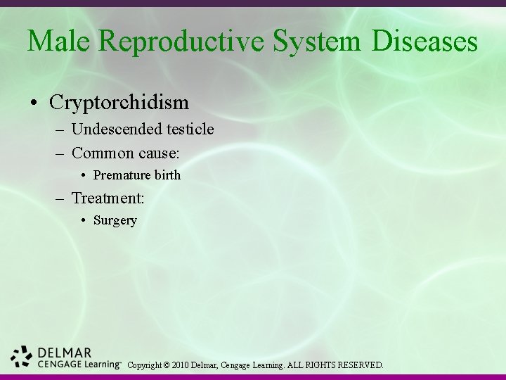 Male Reproductive System Diseases • Cryptorchidism – Undescended testicle – Common cause: • Premature