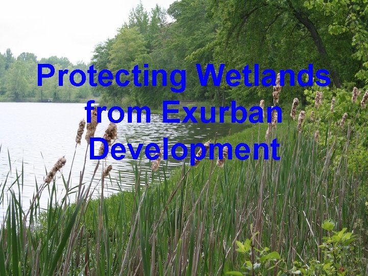 Protecting Wetlands from Exurban Development 