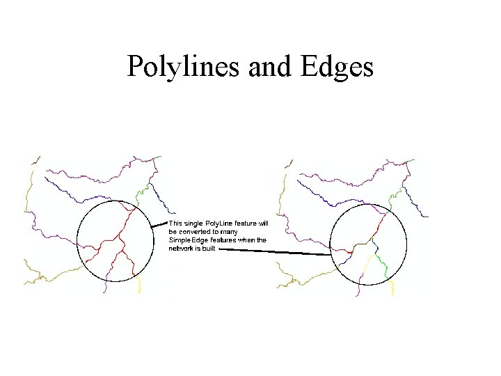 Polylines and Edges 