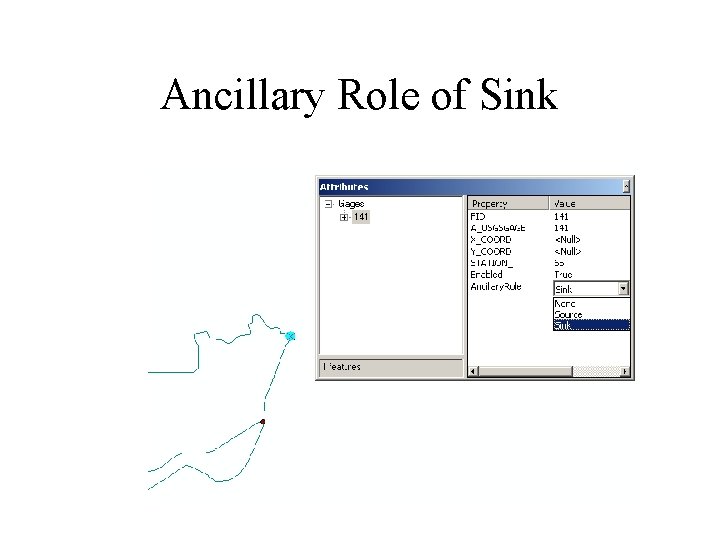 Ancillary Role of Sink 
