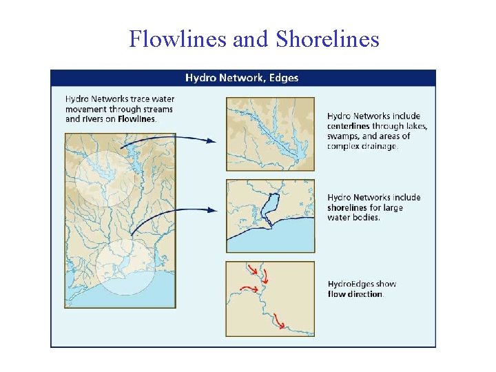 Flowlines and Shorelines 