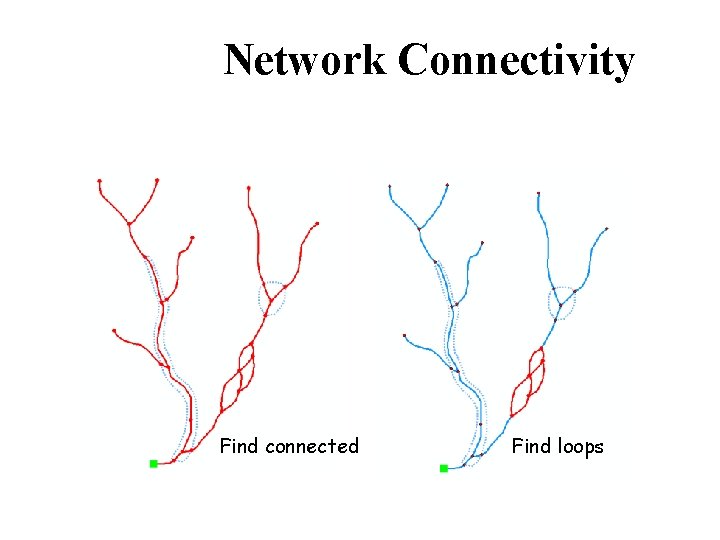 Network Connectivity Find connected Find loops 