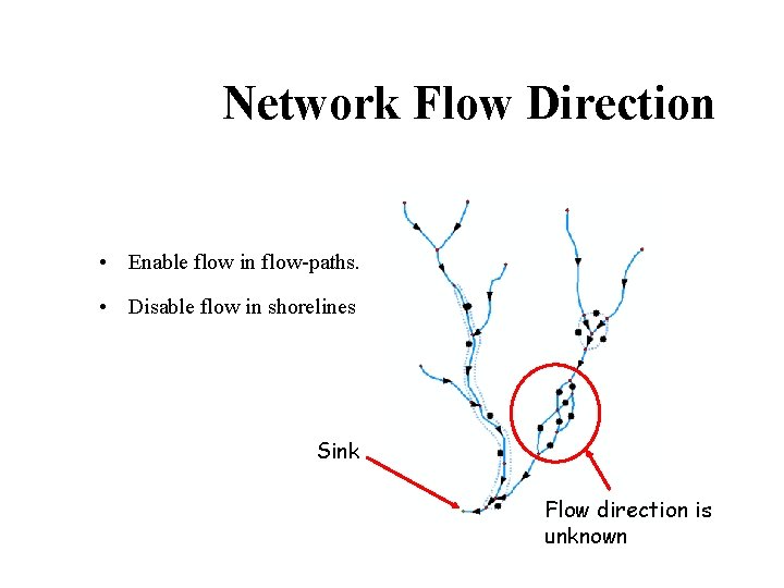 Network Flow Direction • Enable flow in flow-paths. • Disable flow in shorelines Sink