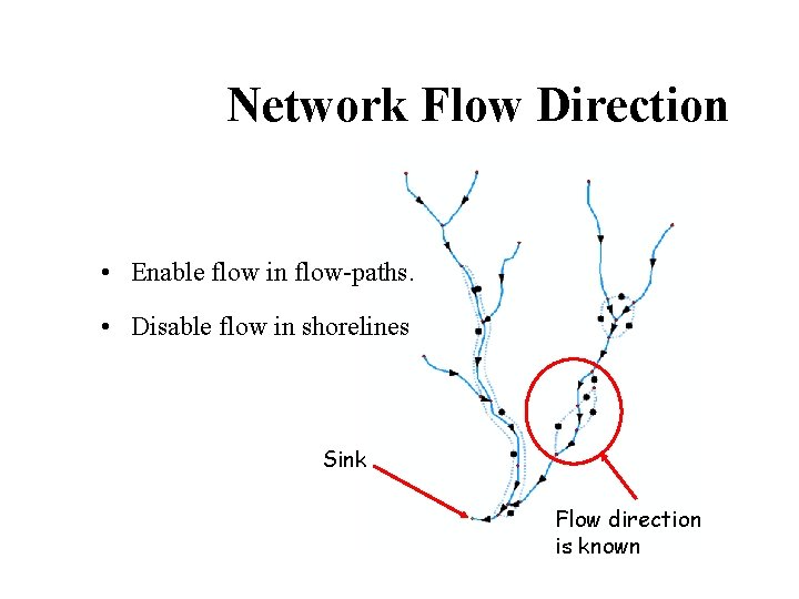 Network Flow Direction • Enable flow in flow-paths. • Disable flow in shorelines Sink