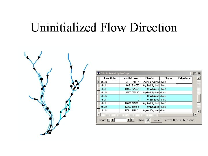 Uninitialized Flow Direction 