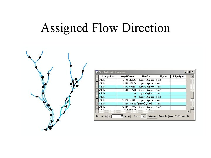 Assigned Flow Direction 
