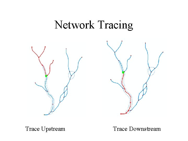 Network Tracing Trace Upstream Trace Downstream 