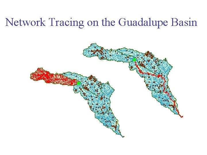 Network Tracing on the Guadalupe Basin 