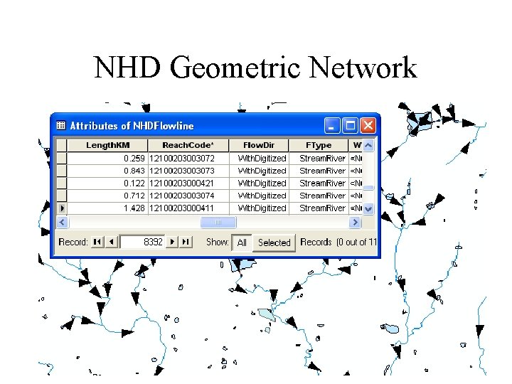 NHD Geometric Network 