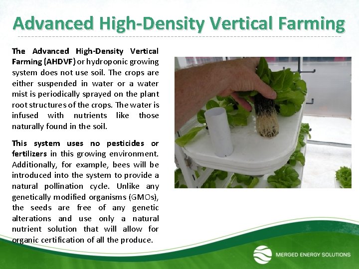 Advanced High-Density Vertical Farming The Advanced High-Density Vertical Farming (AHDVF) or hydroponic growing system