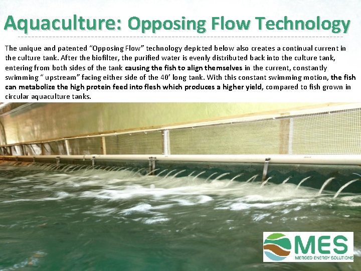 Aquaculture: Opposing Flow Technology The unique and patented “Opposing Flow” technology depicted below also