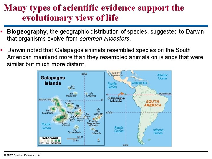 Many types of scientific evidence support the evolutionary view of life Biogeography, the geographic