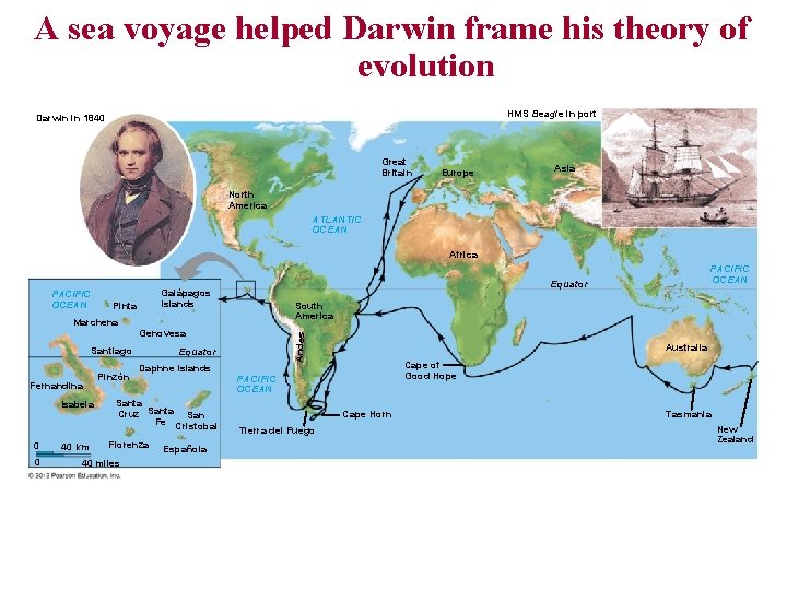 A sea voyage helped Darwin frame his theory of evolution HMS Beagle in port