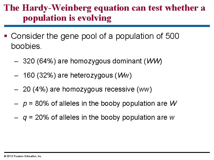 The Hardy-Weinberg equation can test whether a population is evolving Consider the gene pool