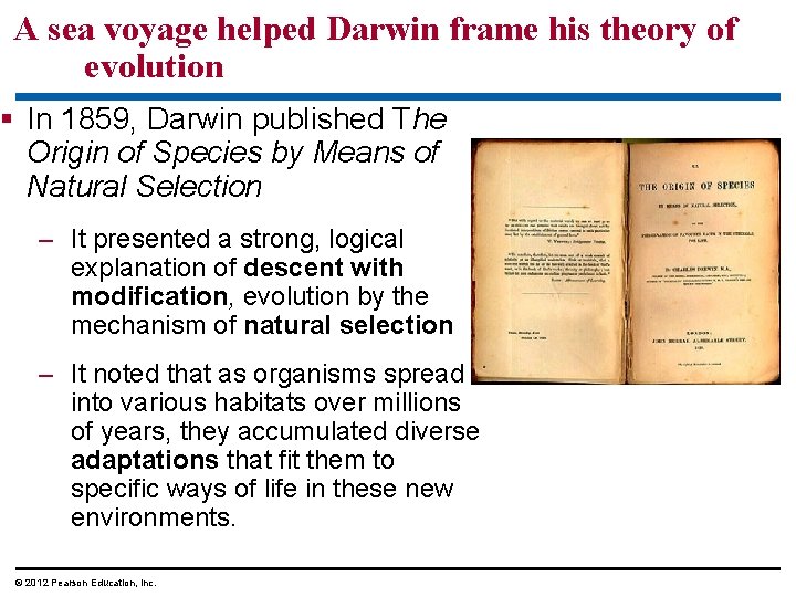 A sea voyage helped Darwin frame his theory of evolution In 1859, Darwin published