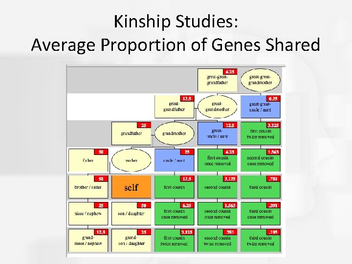 Kinship Studies: Average Proportion of Genes Shared 