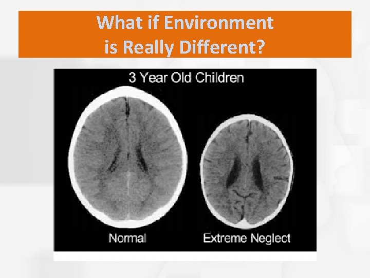 What if Environment is Really Different? 