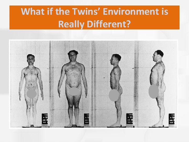 What if the Twins’ Environment is Really Different? 